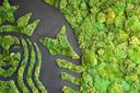 Greener Apron - Nachhaltigkeit bei Starbucks GAG01